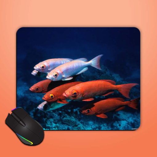 Lezy Fish Illustration Mouse Pad Zapvi