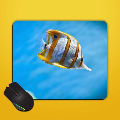 Fish Wallpaper Mouse Pad Zapvi