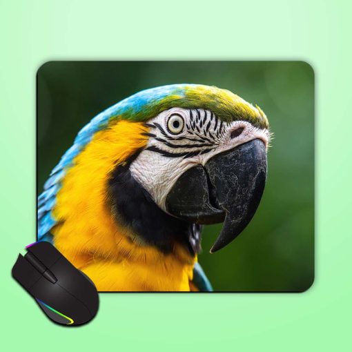 Parrot Mouse Pad Zapvi