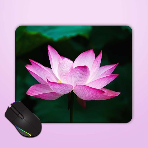 Lotus Mouse Pad Zapvi