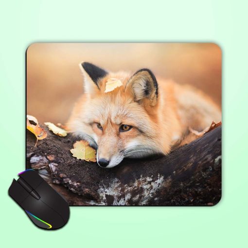 Fox Mouse Pad Zapvi