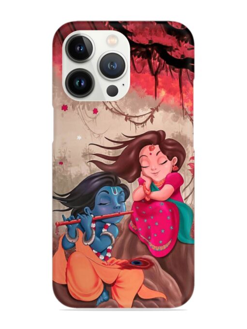 Radhe Krishna Water Art Snap Case for Apple Iphone 13 Pro Max Zapvi