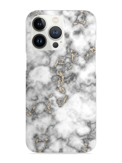 Gray And Gold Marble Snap Case for Apple Iphone 13 Pro Max Zapvi