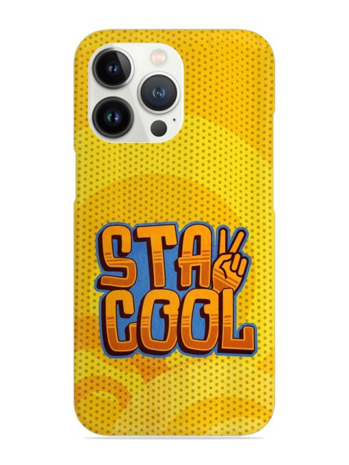 Stay Cool Snap Case for Apple Iphone 13 Pro Max Zapvi