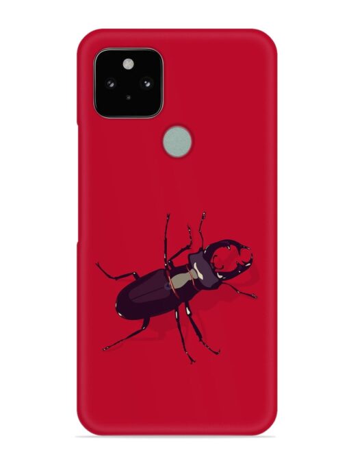 Beetles Snap Case for Google Pixel 5 Zapvi