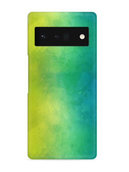 Yellow Green Gradient Snap Case for Google Pixel 6 Pro Zapvi