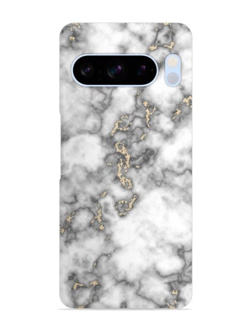 Gray And Gold Marble Snap Case for Google Pixel 8 Pro Zapvi