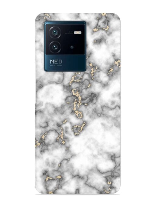 Gray And Gold Marble Snap Case for Iqoo Neo 6 (5G) Zapvi