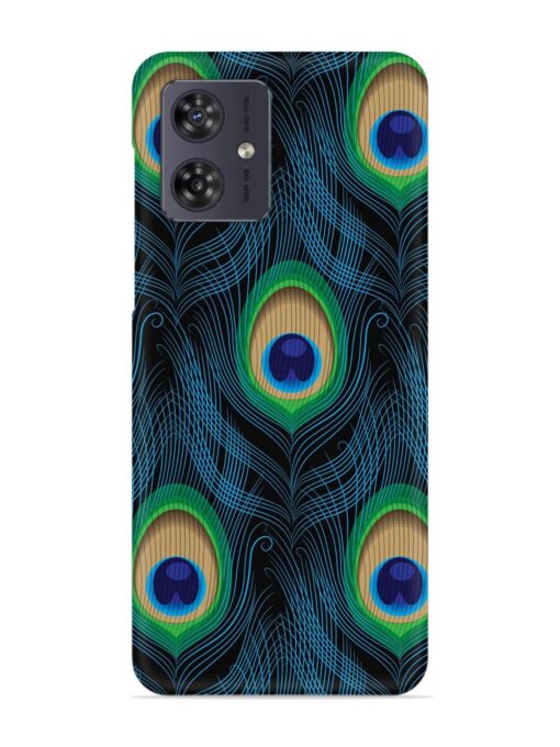 Seamless Pattern Peacock Snap Case for Motorola Moto G54 (5G) Zapvi