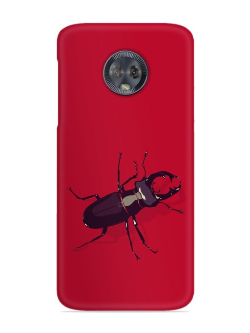 Beetles Snap Case for Motorola Moto G6 Zapvi