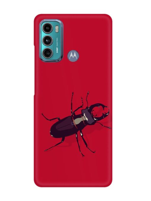 Beetles Snap Case for Motorola Moto G60 Zapvi