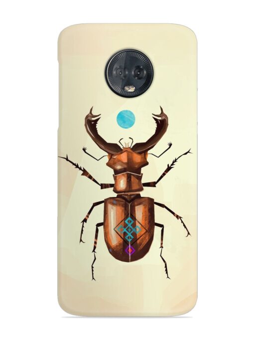 Stag Beetle Vector Snap Case for Motorola Moto G6 Plus Zapvi