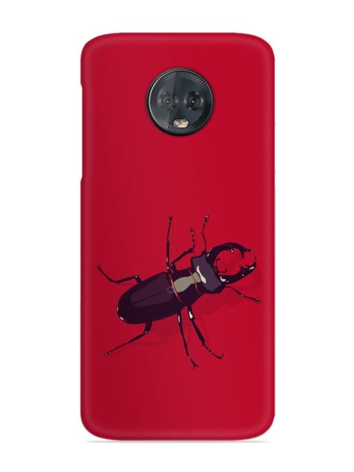 Beetles Snap Case for Motorola Moto G6 Plus Zapvi