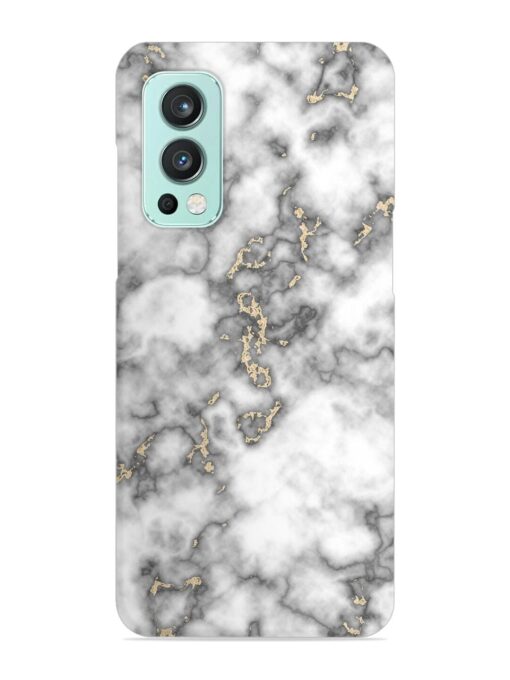 Gray And Gold Marble Snap Case for Oneplus Nord 2 (5G) Zapvi