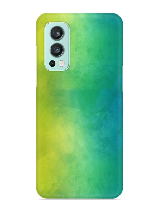 Yellow Green Gradient Snap Case for Oneplus Nord 2 (5G) Zapvi