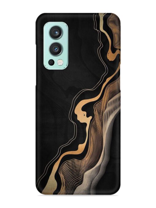 Abstract Art Snap Case for Oneplus Nord 2 (5G) Zapvi