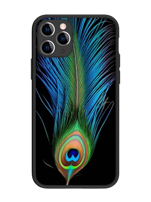 Peacock Feather Glossy Metal TPU Phone Cover for Apple Iphone 11 Pro Zapvi