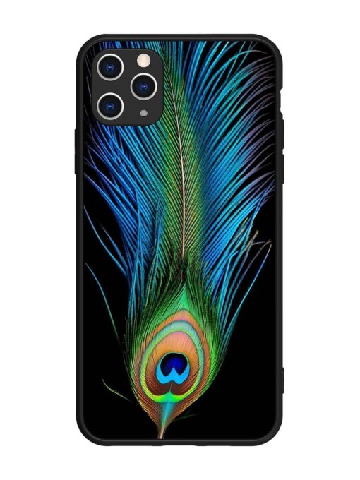 Peacock Feather Glossy Metal TPU Phone Cover for Apple Iphone 11 Pro Max Zapvi