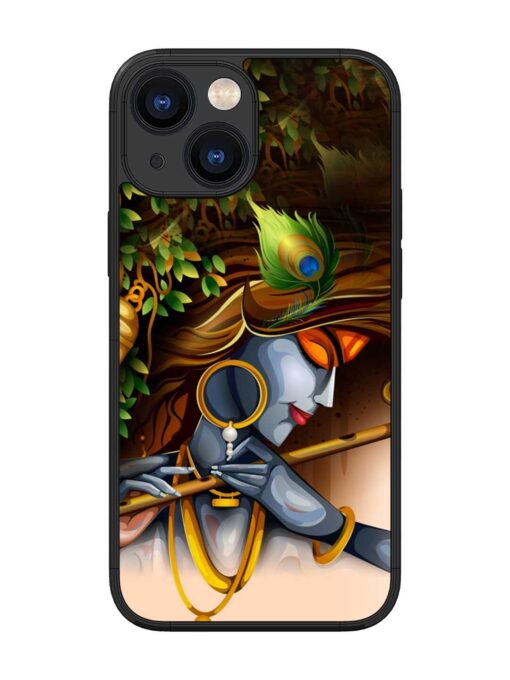 Krishna Glossy Metal Phone Cover for Apple Iphone 13 Mini Zapvi