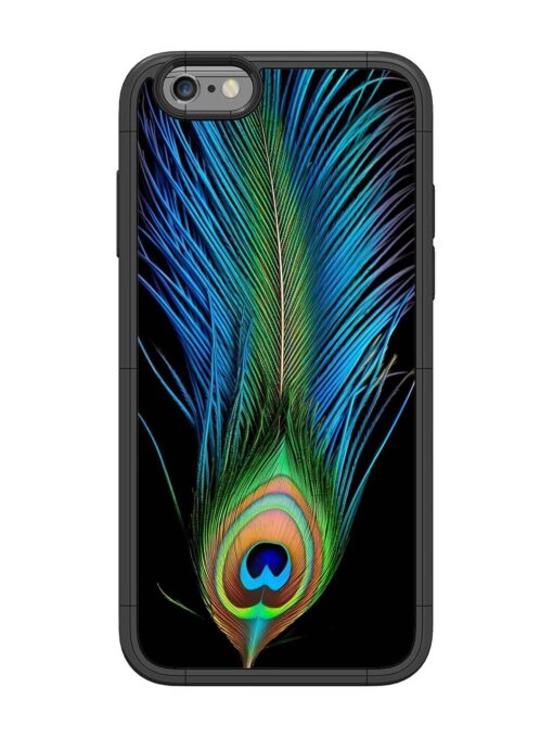 Peacock Feather Glossy Metal TPU Phone Cover for Apple Iphone 6 Zapvi