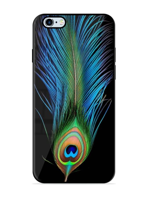 Peacock Feather Glossy Metal TPU Phone Cover for Apple Iphone 6 Plus Zapvi