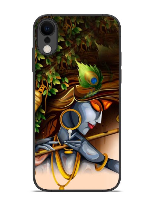 Krishna Glossy Metal Phone Cover for Apple Iphone Xr Zapvi