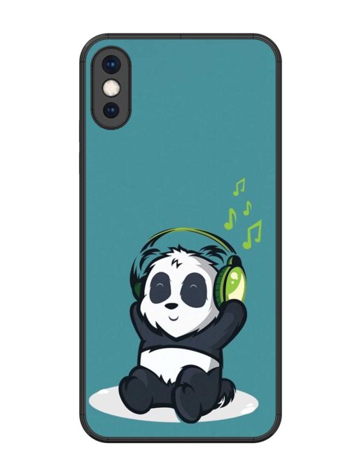 Music Panda Glossy Metal Phone Cover for Apple Iphone Xs Max Zapvi