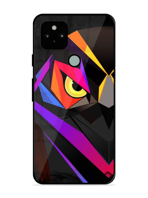 Wpap Owl Glossy Metal Phone Cover for Google Pixel 5 Zapvi