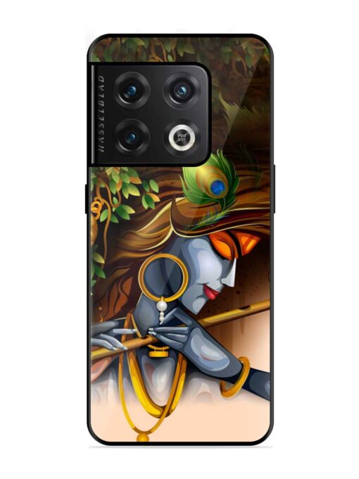 Krishna Glossy Metal Phone Cover for Oneplus 10 Pro (5G) Zapvi