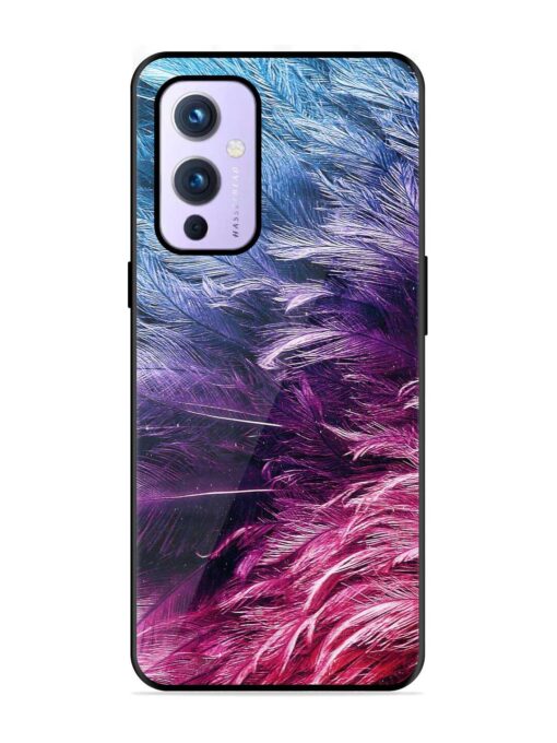 Light Grey Feather Background Glossy Metal Phone Cover for Oneplus 9 (5G) Zapvi